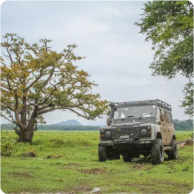 Line2 Image 4