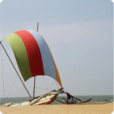 Line1 Image 6