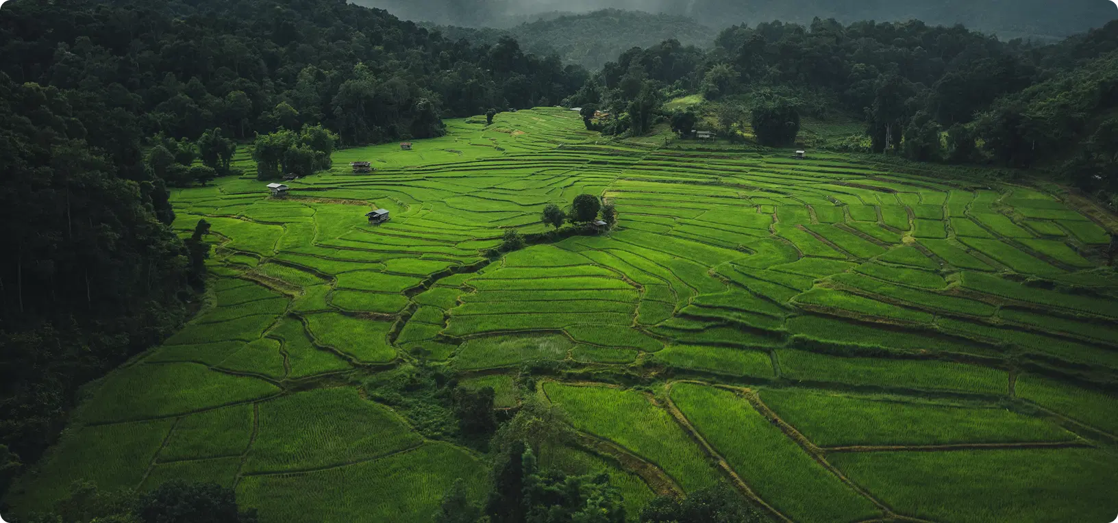 Ceylon Serenity Escape 