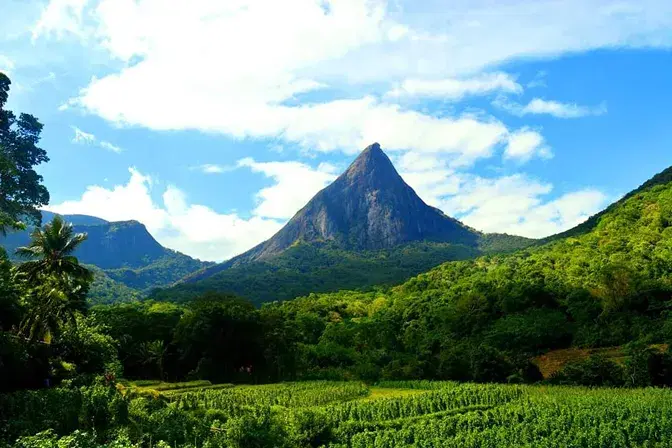 Nawarathna’s Camp Site