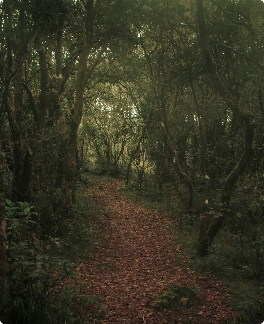 Day 4: Wilpattu To Minneriya