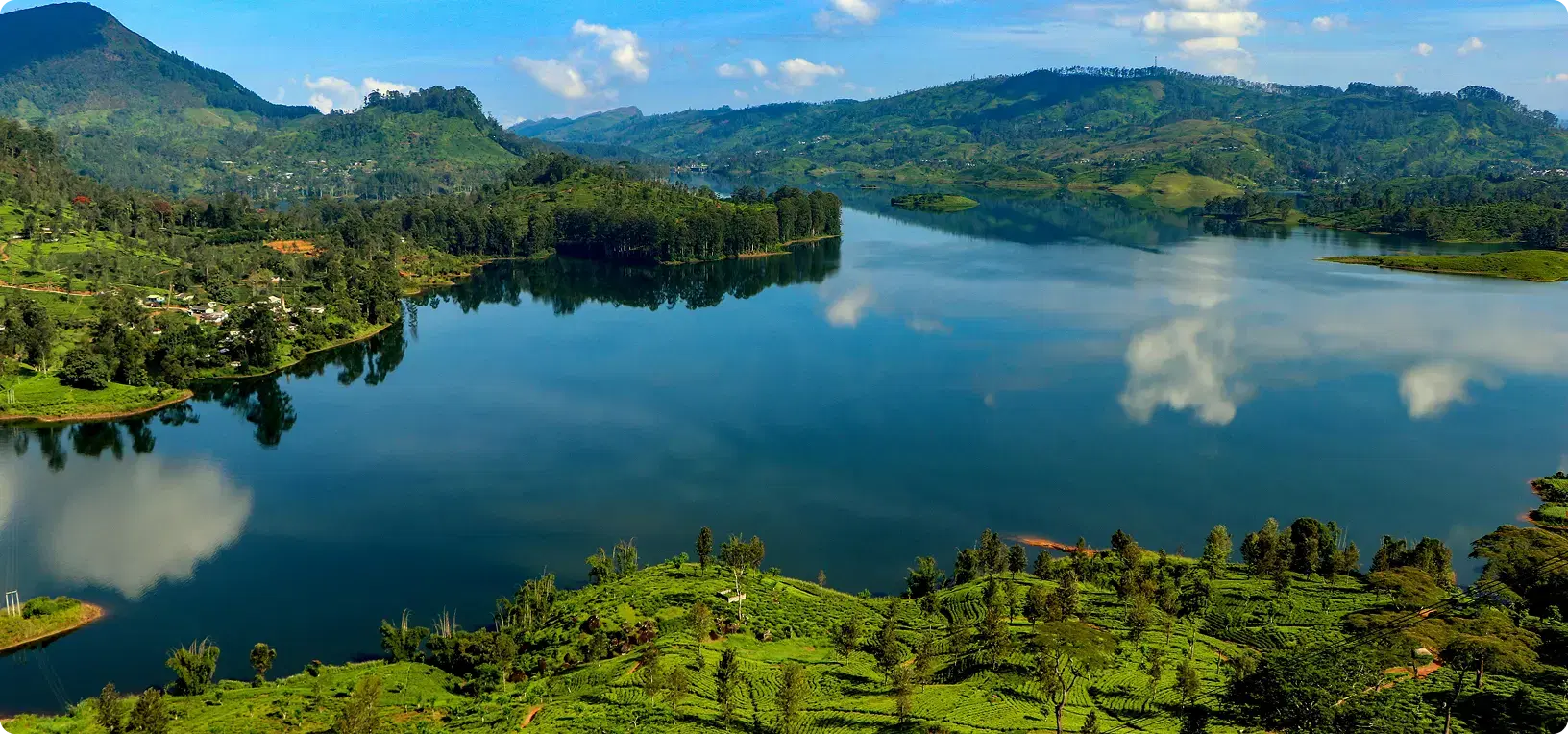 Week Of Wonder Voyage